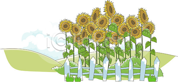 사람없음 EPS 일러스트 가을(계절) 가을배경 계절 구름(자연) 꽃 백그라운드 식물 야외 여름꽃 울타리 자연 주간 초원(자연) 풍경(경치) 해바라기