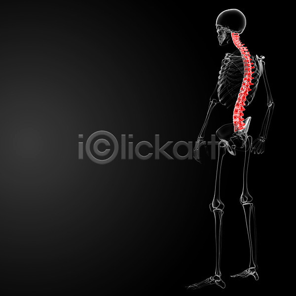 사람없음 3D JPG 실루엣 일러스트 포토 해외이미지 건강 골격 몸통 뼈 엑스레이 염증 요통 척추 파란색 포즈 해외202004