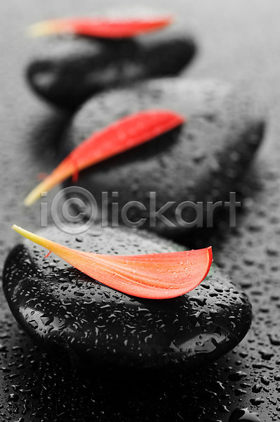 매끈함 사람없음 JPG 포토 해외이미지 검은색 꽃 꽃잎 마사지 물 물방울 백그라운드 빨간색 스파 쌓기 젖음 조약돌 컨셉 해외202004