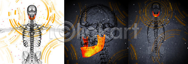 사람 사람없음 3D JPG 포토 해외이미지 건강 골격 머리 뼈 약 엑스레이 죽음 치아 턱 해골모형 해부 해외202004