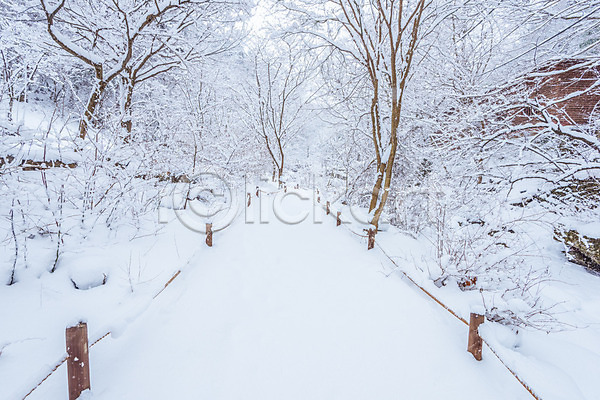 사람없음 JPG 포토 해외이미지 겨울 나무 눈내림 백그라운드 산 서울 자연 풍경(경치) 한국 해외202004