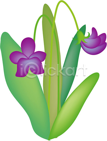 사람없음 EPS 아이콘 꽃 들꽃 보라색 봄꽃 식물 자연 제비꽃