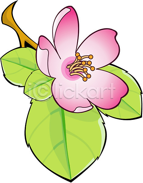 사람없음 EPS 아이콘 꽃 나뭇가지 보라색 분홍색 식물 잎 컬러