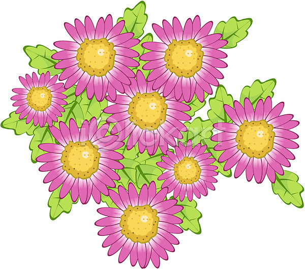 사람없음 EPS 아이콘 가을(계절) 가을꽃 국화 꽃 꽃다발 분홍색 식물 자연 컬러