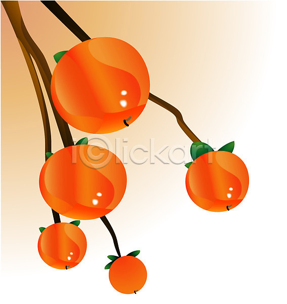 사람없음 EPS 아이콘 가을(계절) 감 감나무 과일 나뭇가지 농작물 식물 열매 주황색 컬러