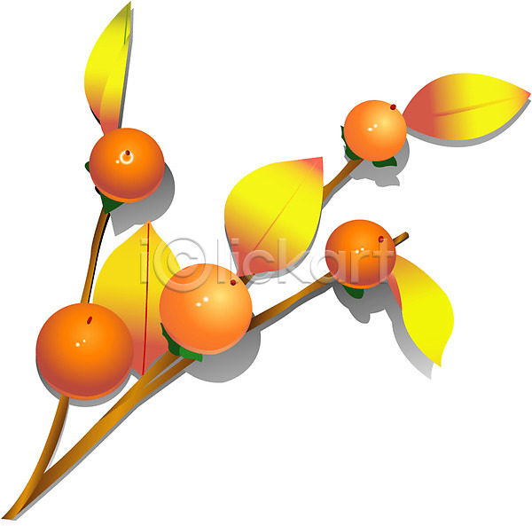 사람없음 EPS 아이콘 가을(계절) 감 과일 나뭇가지 농작물 식물 주황색 컬러