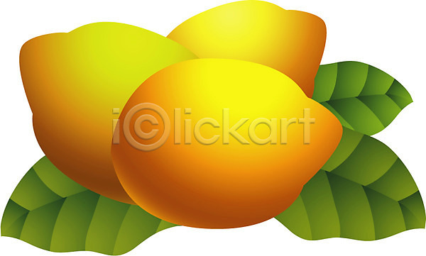 사람없음 EPS 아이콘 가을(계절) 과일 노란색 농작물 모과 배(과일) 식물 열매 컬러