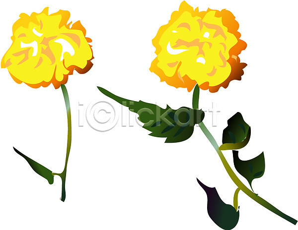 사람없음 EPS 아이콘 가을(계절) 국화 꽃 노란색 식물 여름꽃 자연 장미 컬러
