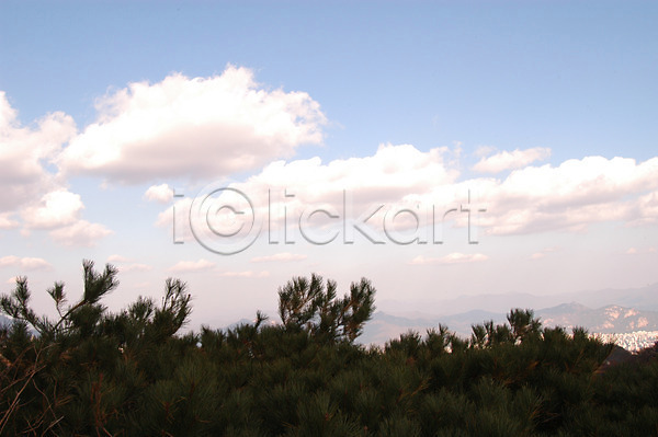 사람없음 JPG 실루엣 포토 구름(자연) 나무 노을 백그라운드 북한산 산 소나무 식물 야외 일몰 자연 저녁 주간 풍경(경치) 하늘