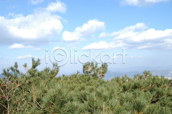 사람없음 JPG 실루엣 포토 겨울 계절 구름(자연) 나무 백그라운드 북한산 사계절 산 소나무 식물 야외 자연 주간 풍경(경치) 하늘
