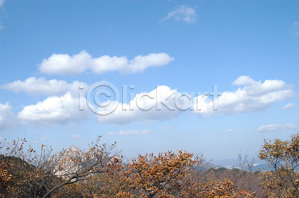 사람없음 JPG 포토 가을(계절) 겨울 계절 구름(자연) 나무 단풍 백그라운드 사계절 산 야외 자연 주간 풍경(경치) 하늘
