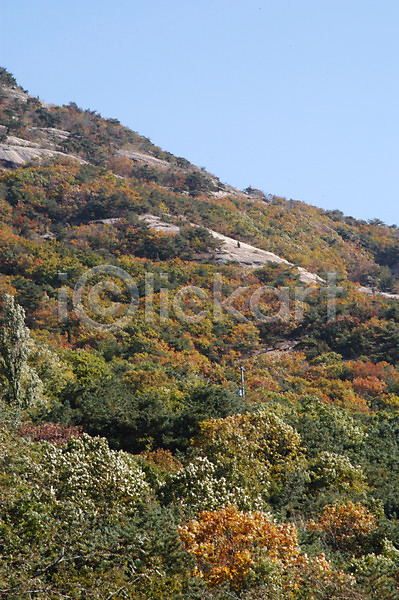 사람없음 JPG 포토 나무 바위산 백그라운드 북한산 산 식물 야외 주간 풍경(경치) 하늘