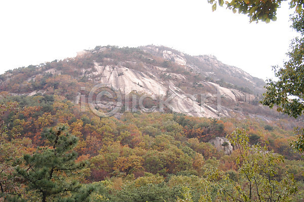 사람없음 JPG 포토 나무 바위산 백그라운드 북한산 산 식물 야외 주간 풍경(경치)