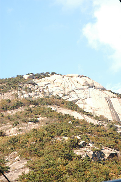 사람없음 JPG 포토 나무 돌(바위) 바위(돌) 바위산 백그라운드 북한산 산 암벽 야외 주간 풍경(경치)