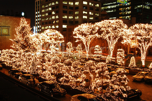 사람없음 JPG 포토 기념일 나무 도시 빛 야간 야경 야외 장식 조명 크리스마스 크리스마스트리 풍경(경치)