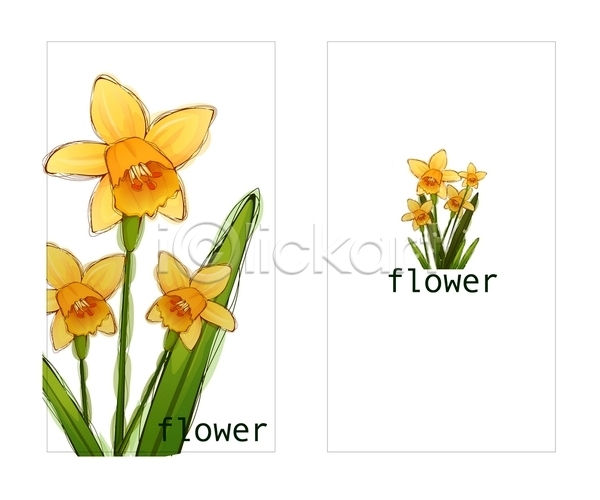 명함템플릿 배너템플릿 템플릿 겨울꽃 꽃 명함 미니배너 수선화 식물 자연