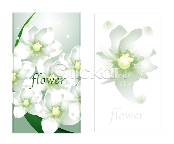 명함템플릿 배너템플릿 템플릿 꽃 매화 명함 미니배너 봄꽃 식물 자연