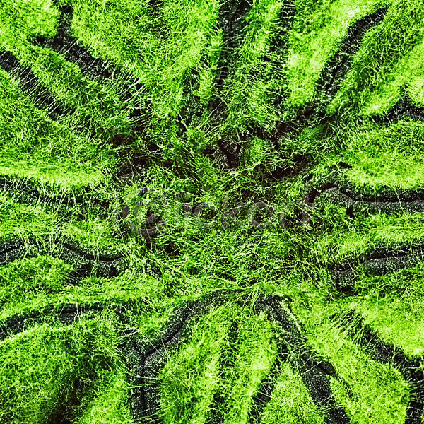 성장 사람없음 JPG 포토 해외이미지 감염 곰팡이 과학 문화 미생물 박테리아 백그라운드 생명공학 생물 생물학 세포 스터디 식민지 실험 실험실 원형 초록색 추상 해외202004