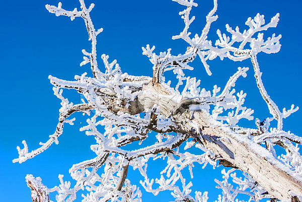 추위 사람없음 JPG 포토 해외이미지 겨울 나무 눈내림 맑음 백그라운드 산 서울 언덕 자연 태양 풍경(경치) 하늘 한국 해외202004