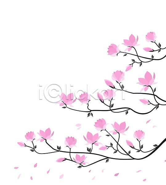 사람없음 EPS 일러스트 해외이미지 꽃 나뭇가지 목련 봄 분홍색 해외202004