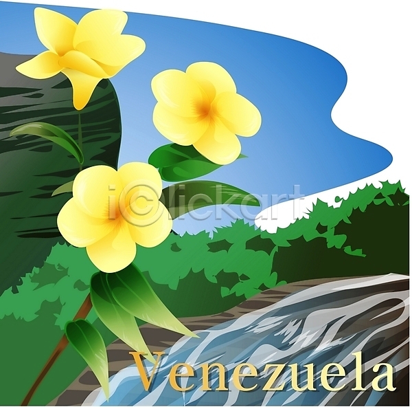 사람없음 EPS 일러스트 계곡 국화 꽃 나라꽃 남아메리카 노란색 베네수엘라 식물 야외 여행 외국문화 주간 컬러 클립아트