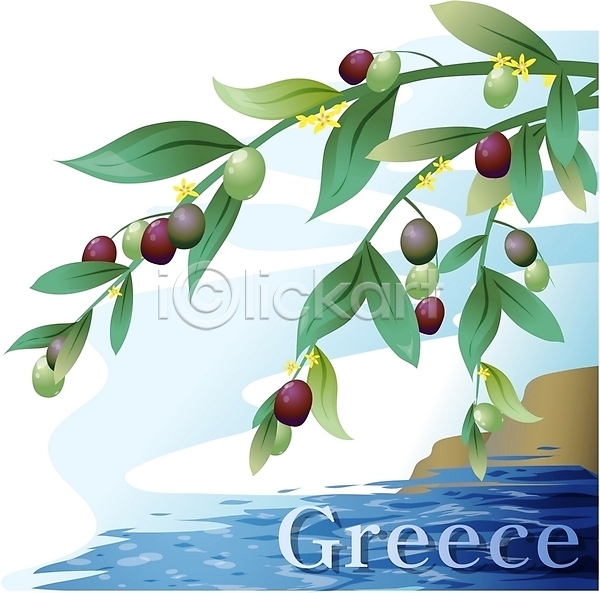 사람없음 EPS 일러스트 국화 그리스 꽃 나라꽃 나무 섬 식물 야외 여행 올리브 주간 클립아트