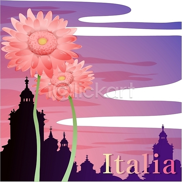 사람없음 EPS 일러스트 국화 꽃 나라꽃 데이지 분홍색 식물 야외 여름꽃 여행 이탈리아 자연 클립아트