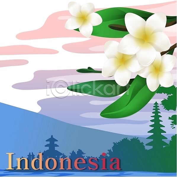 사람없음 EPS 일러스트 국화 꽃 나라꽃 사원 사찰 식물 야외 여행 인도네시아 재스민 주간 클립아트 흰색