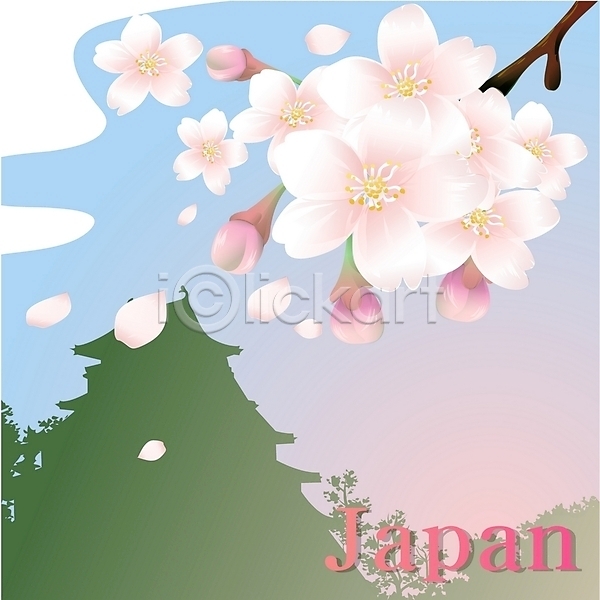 사람없음 EPS 일러스트 국화 꽃 나라꽃 벚꽃 분홍색 사원 사찰 식물 야외 여행 일본 주간 클립아트