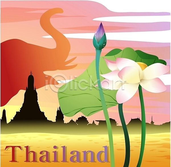 사람없음 EPS 일러스트 국화 꽃 나라꽃 분홍색 식물 야외 여행 코끼리 클립아트 태국