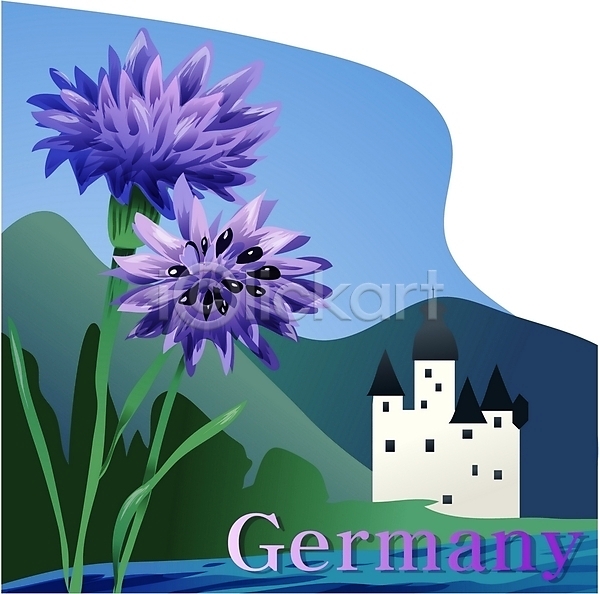 사람없음 EPS 일러스트 국화 꽃 나라꽃 독일 독일문화 보라색 수레국화 식물 야외 여행 외국문화 주간 컬러 클립아트