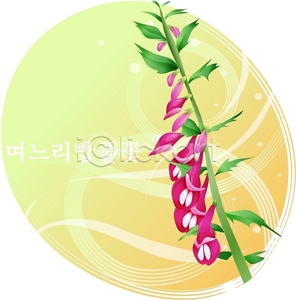사람없음 EPS 일러스트 꽃 들꽃 며느리밥풀꽃 백그라운드 분홍색 식물 여름꽃 자연 클립아트
