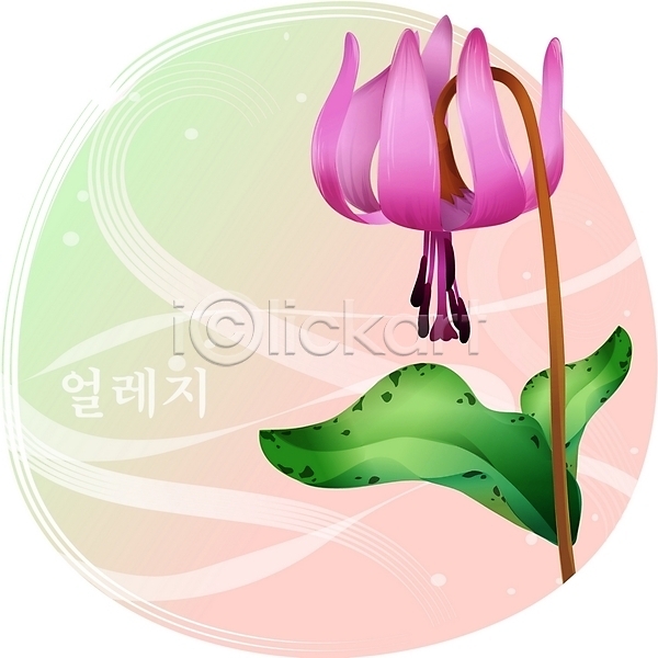 사람없음 EPS 일러스트 꽃 들꽃 백그라운드 보라색 봄꽃 식물 얼레지 자연 컬러 클립아트