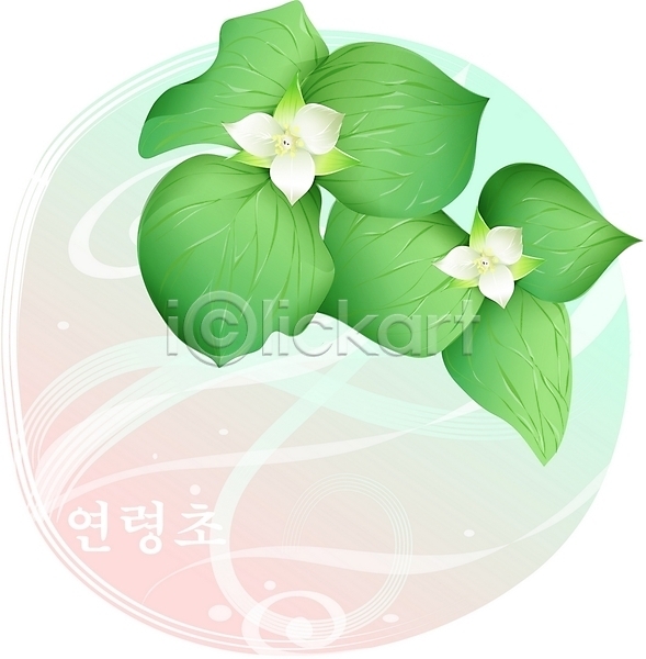 사람없음 EPS 일러스트 꽃 들꽃 백그라운드 봄꽃 식물 자연 클립아트 흰색