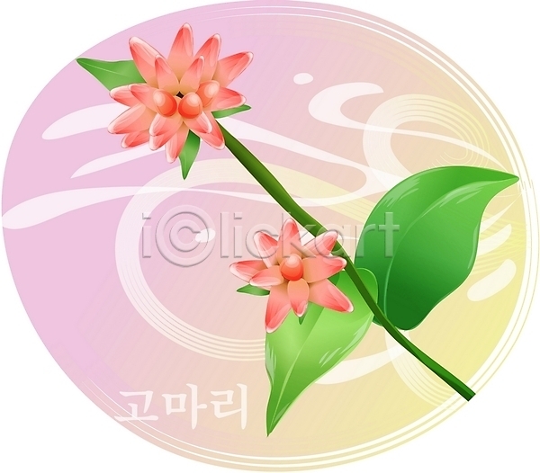 사람없음 EPS 일러스트 가을꽃 꽃 들꽃 백그라운드 분홍색 식물 자연 클립아트