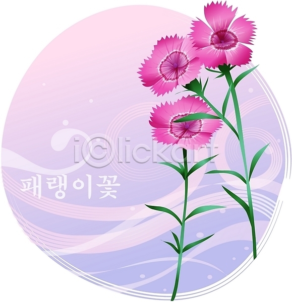 사람없음 EPS 일러스트 꽃 다홍색 들꽃 백그라운드 식물 여름꽃 자연 클립아트 패랭이꽃