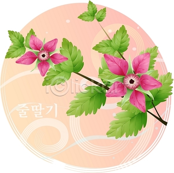 사람없음 EPS 일러스트 꽃 들꽃 백그라운드 봄꽃 식물 자연 진홍색 클립아트
