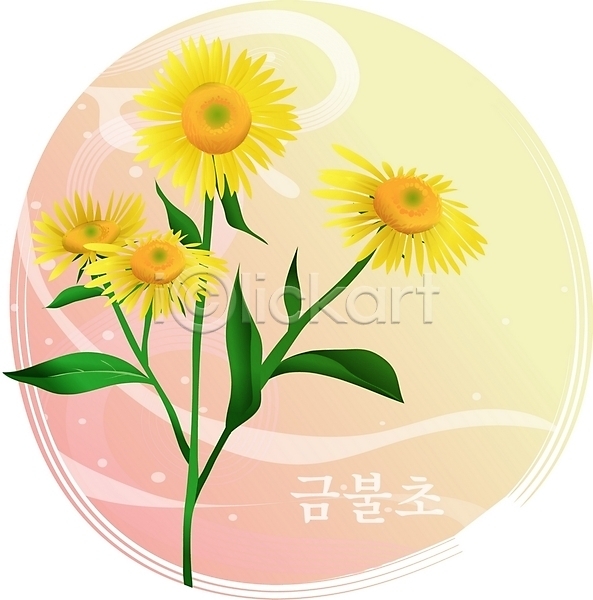 사람없음 EPS 일러스트 꽃 노란색 들꽃 백그라운드 식물 여름꽃 자연 컬러 클립아트