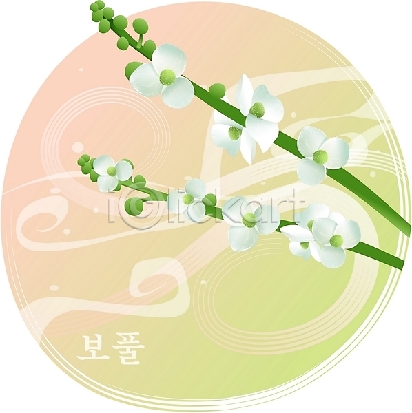 사람없음 EPS 일러스트 꽃 들꽃 백그라운드 보풀 식물 여름꽃 자연 클립아트 흰색
