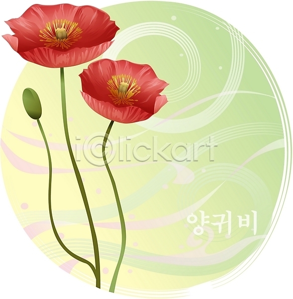 사람없음 EPS 일러스트 꽃 들꽃 백그라운드 빨간색 식물 양귀비 여름꽃 자연 컬러 클립아트