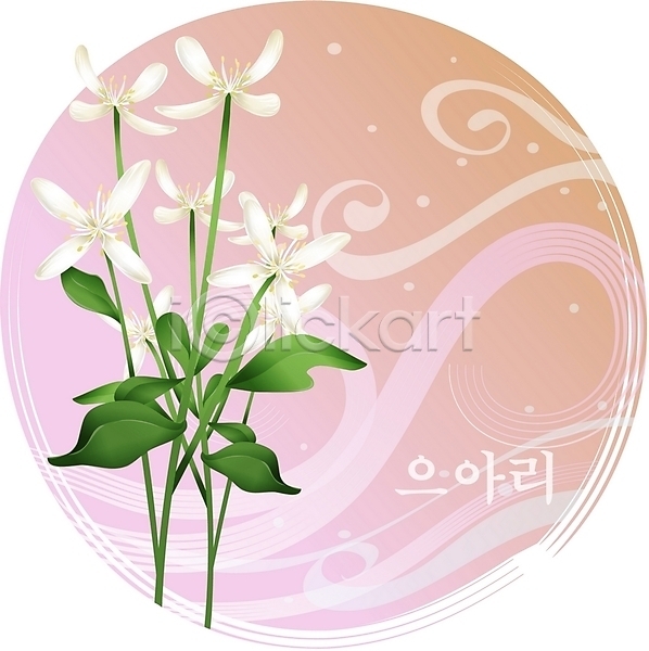 사람없음 EPS 일러스트 꽃 들꽃 백그라운드 식물 여름꽃 자연 클립아트 흰색