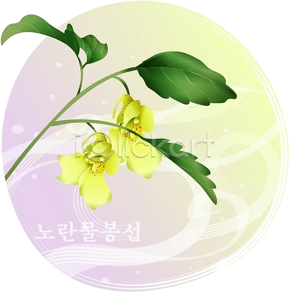 사람없음 EPS 일러스트 꽃 노란색 들꽃 물봉선 백그라운드 식물 여름꽃 자연 컬러 클립아트