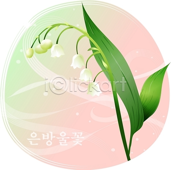 사람없음 EPS 일러스트 꽃 들꽃 백그라운드 봄꽃 식물 은방울꽃 자연 클립아트 흰색