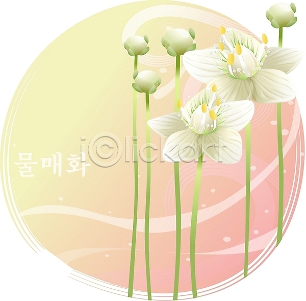 사람없음 EPS 일러스트 꽃 들꽃 물매화 백그라운드 식물 여름꽃 자연 클립아트 흰색