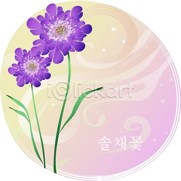 사람없음 EPS 일러스트 꽃 백그라운드 보라색 솔채꽃 식물 여름꽃 자연 컬러 클립아트
