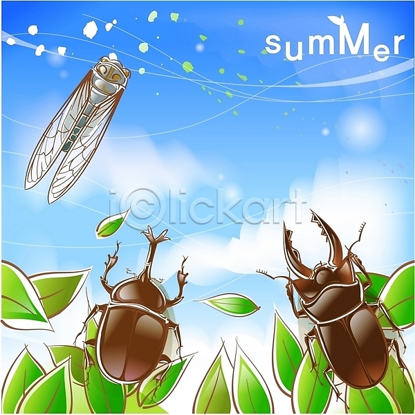 사람없음 EPS 일러스트 계절 곤충 구름(자연) 나뭇잎 딱정벌레 매미 백그라운드 벌레 사계절 야외 여름(계절) 자연 절지류 주간 하늘