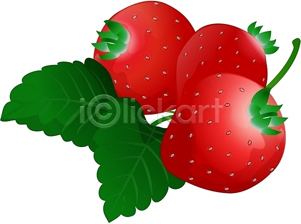 사람없음 EPS 디테일아이콘 아이콘 펄아이콘 과일 딸기 식물 잎