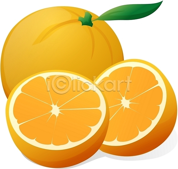 사람없음 EPS 디테일아이콘 아이콘 펄아이콘 과일 귤 식물 오렌지