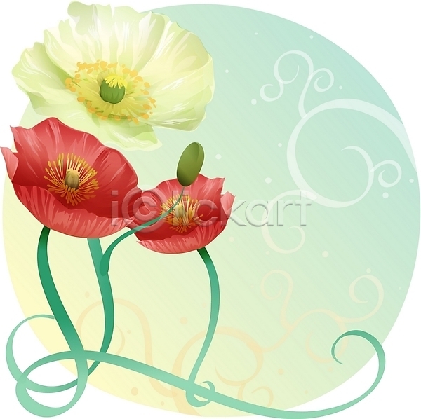 사람없음 EPS 일러스트 꽃 백그라운드 빨간색 식물 양귀비 여름꽃 자연 컬러풀 클립아트