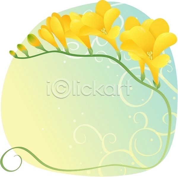 사람없음 EPS 일러스트 겨울꽃 꽃 노란색 백그라운드 식물 자연 컬러 클립아트 프리지어
